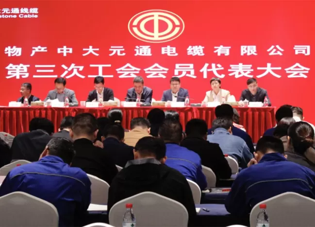 凝聚合力 赋能高质量线缆发展